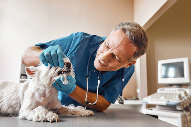 Best Tooth Infection Emergency Dentist  in Lockland, OH
